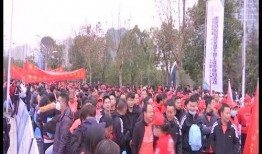 武宁新闻爆料事件,真相与舆论的交织